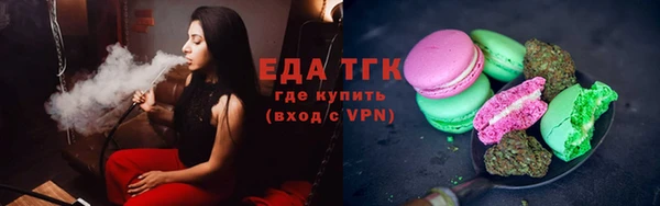 индика Ельня